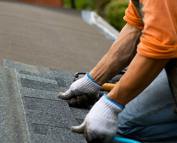 Best Flat Roof Repair Services  in Front Royal, VA